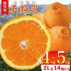 約 4kg
