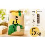新米 コシヒカリ 5kg