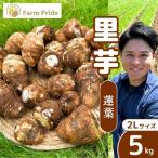 里芋 2Lサイズ 5キロ