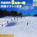 共通スキーリフト1日券 引換券 2027シーズン