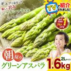 アスパラ アスパラガス 2Lサイズ 1.6kg