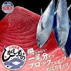 〈冷蔵〉三陸塩竈ひがしもの一尾分 ブロック