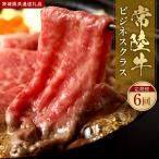 常陸牛 定期便 エコノミークラス お肉 肉 BBQ