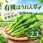 ほうれん草 有機栽培 約 2.3kg