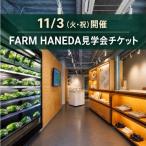 FARM HANEDA見学会チケット 見学