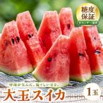 大玉スイカ 赤肉 1玉