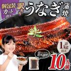 訳あり うなぎ蒲焼カット 約10人前