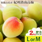 紀州熟南高梅 約2kg