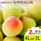 紀州熟南高梅 約2kg