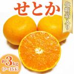 せとか 約3kg
