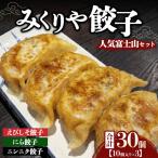 みくりや餃子 富士山セット 小 10個入り×3 食べ比べ