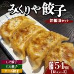 みくりや餃子 箱根山セット 大 18個入り×3 食べ比べ