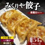 みくりや餃子 愛鷹山セット 大 18個入り×3 食べ比べ