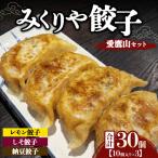 みくりや餃子 愛鷹山セット 小 10個入り×3 食べ比べ