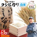 定期便 コシヒカリ 令和8年産 白米 5kg