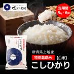 令和8年産 上越産 特別栽培米 コシヒカリ