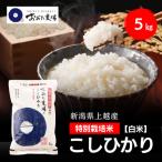 令和8年産 上越産 特別栽培米 コシヒカリ 5kg