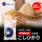 令和8年産 上越産 特別栽培米 コシヒカリ 20kg