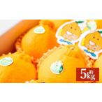 デコポン 約5kg