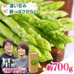 グリーンアスパラガス 約700g