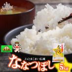 令和8年産 金王冠 JAとまこまい広域 ななつぼし 5kg