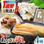 魚貝類 穴子 対馬産 あなご おためし セット