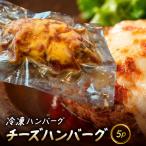 冷凍ハンバーグ 生ハンバーグ 5P MBBR004