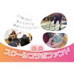 鎌倉スクールコラボファンド活用基金 100,000円寄附券