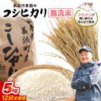 定期便 コシヒカリ 令和8年産 無洗米 5kg