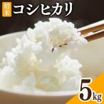 米 令和8年 コシヒカリ 精米 5kg×1袋