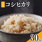 米 令和8年 コシヒカリ 玄米 30kg