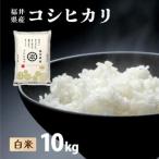 コシヒカリ 10kg