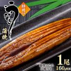 うなぎ 蒲焼 約160g