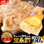 手包み餃子 ぎょうざの宝永 チーズ餃子30個セット