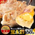 手包み餃子 ぎょうざの宝永 チーズ餃子60個セット