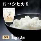 米 コシヒカリ 定期便6回 ハナエチゼン 精米 2kg