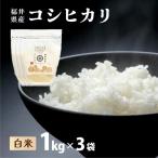 米 コシヒカリ 定期便6回 ハナエチゼン 精米 3kg