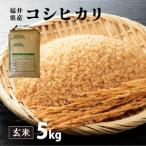 コシヒカリ 玄米 5kg