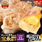 手包み餃子 ぎょうざの宝永 チーズ餃子60個セット