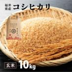 コシヒカリ 玄米 10kg