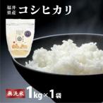 米 コシヒカリ 定期便6回 ハナエチゼン 精米 1kg