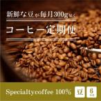 毎月違うスペシャルティコーヒー 300g
