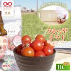 うるつやトマト 10パック