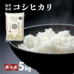 コシヒカリ 無洗米 5kg