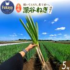 深谷ネギ 5kg