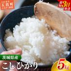 新米 令和8年産 こしひかり 精米 5kg