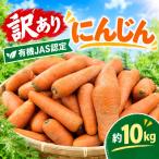 訳あり にんじん 10kg