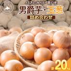 JAきたみらい男爵芋 玉葱詰め合わせ 計約20kgOTC005