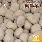JAきたみらい男爵芋 約20kgOTC009