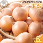 JAきたみらい玉葱 約5kgOTC011